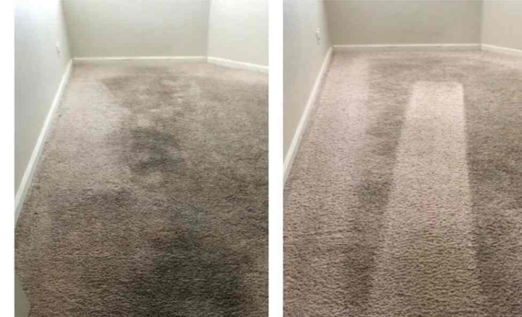 Clean carpet after RMT cleaning