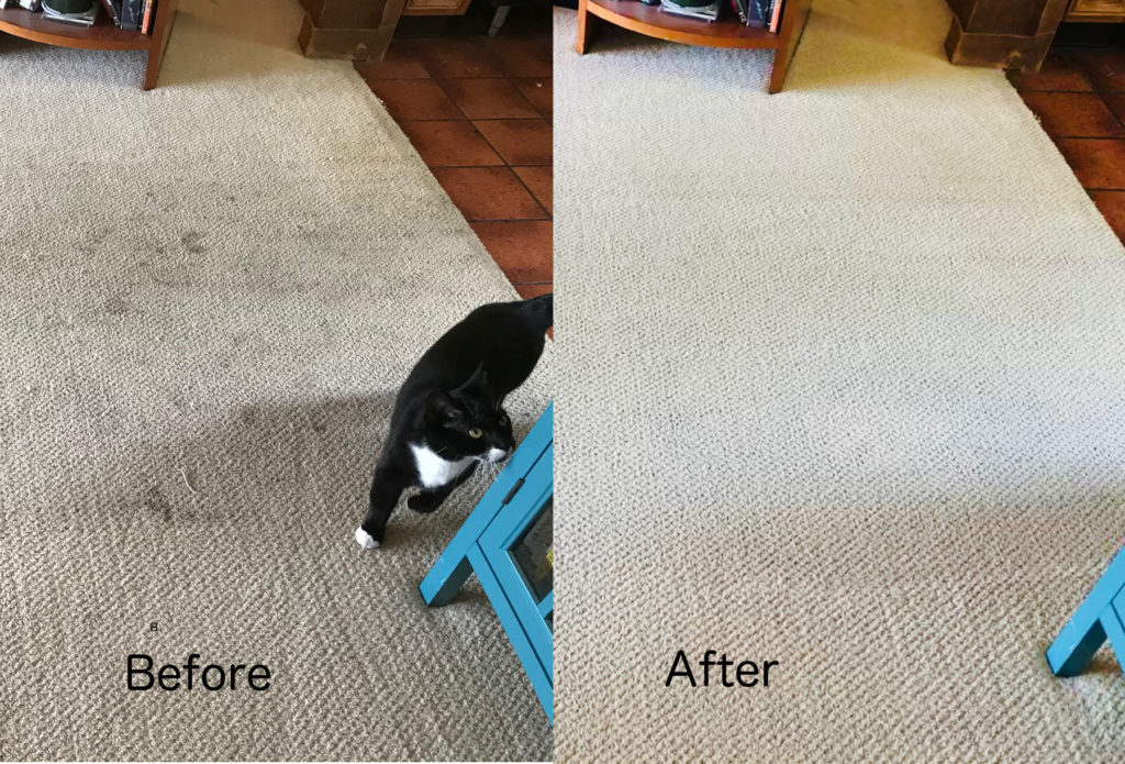 Dirty carpet before cleaning